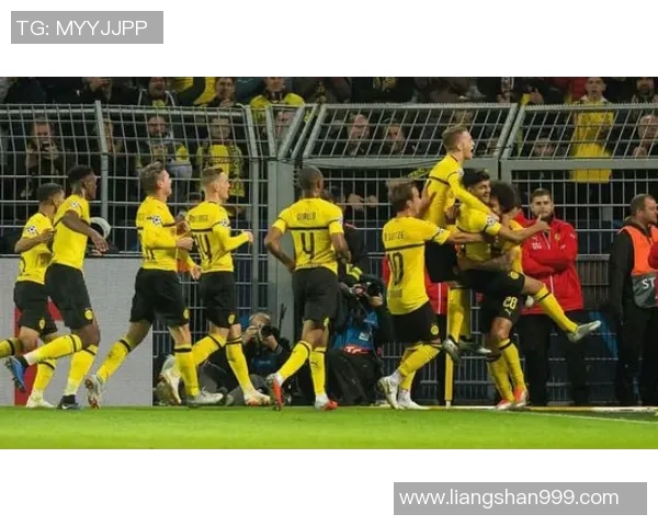 北京羽毛球队逆袭世界杯的辉煌之路与奋斗精神的完美结合