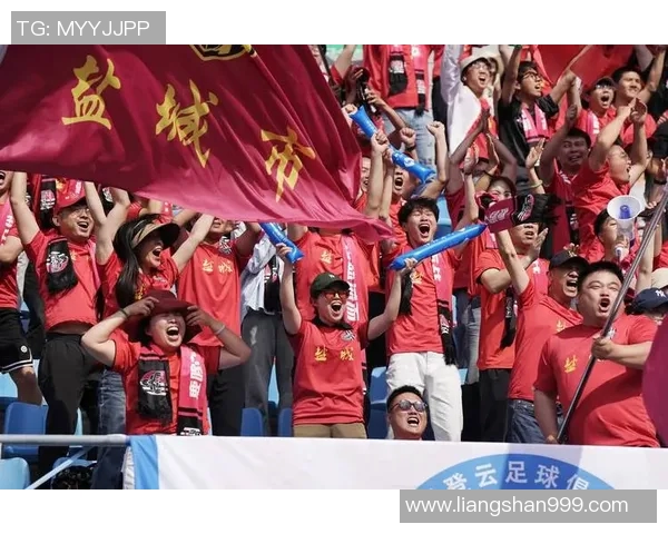 南京极限运动队的转型与创新探索之路揭秘